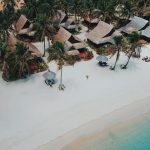 green plants on white sand