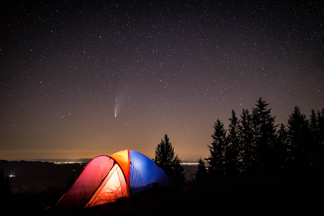 Your First Stargazing Adventure: A Beginner’s Guide to Unforgettable Camping